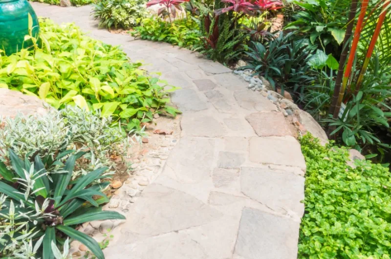 Dit moet je weten als je een tuin gaat aanleggen bij je nieuwe huis