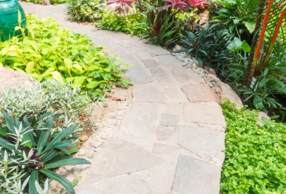 Dit moet je weten als je een tuin gaat aanleggen bij je nieuwe huis
