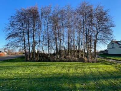 Bouwgrond de Hoef Westzijde 39-A