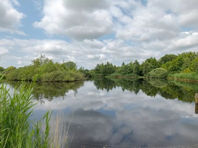 Reitsmastrjitte 52 Harkema