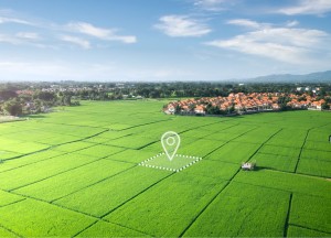 Bouwkavel kopen: waar moet je op letten?