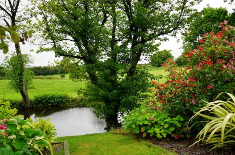 Geniet van natuur ook in uw tuin