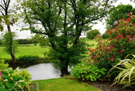 Geniet van natuur ook in uw tuin