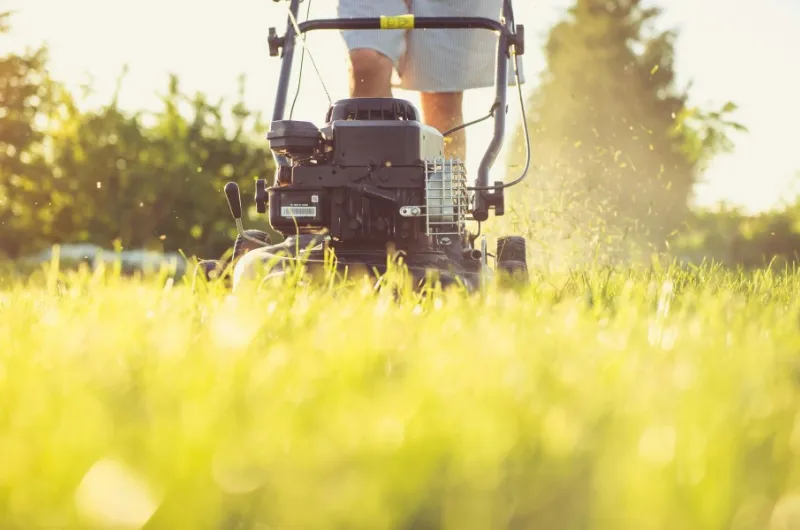 Grasmaaier aanschaffen: waar je op moet letten