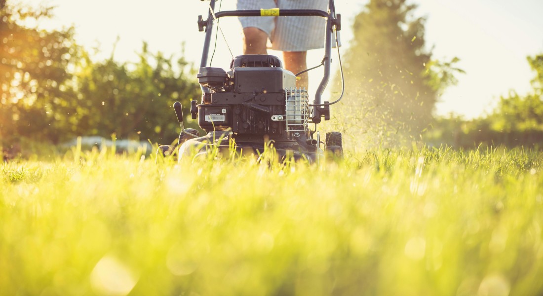 Grasmaaier aanschaffen: waar je op moet letten