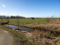 Graskade 2461 Ter Aar