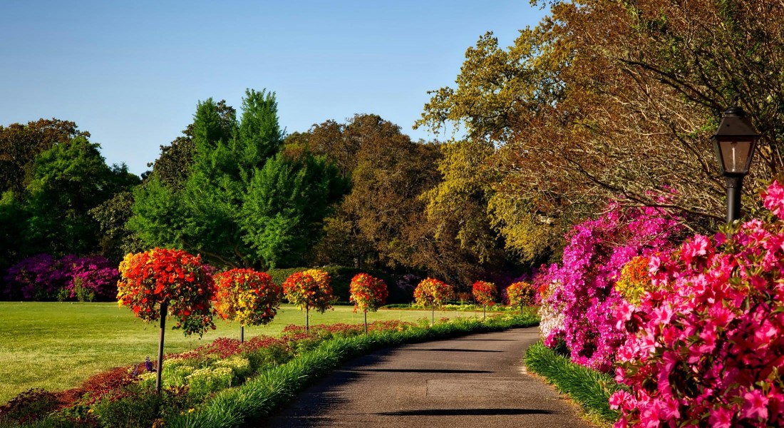 Wanneer begin je met het aanleggen van een haag op een bouwkavel?