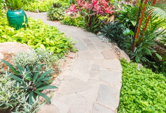 Dit moet je weten als je een tuin gaat aanleggen bij je nieuwe huis - 