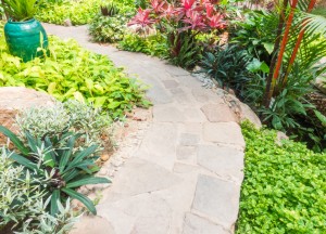 Dit moet je weten als je een tuin gaat aanleggen bij je nieuwe huis