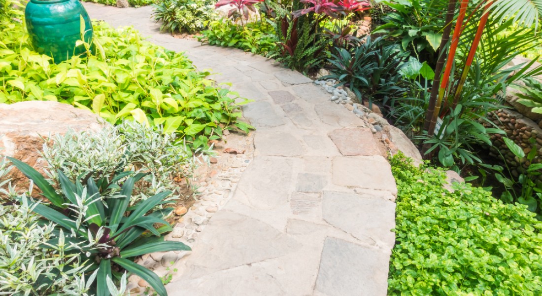 Dit moet je weten als je een tuin gaat aanleggen bij je nieuwe huis