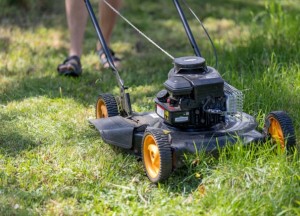 Hoeveel werk heb je aan een gazon in je tuin?