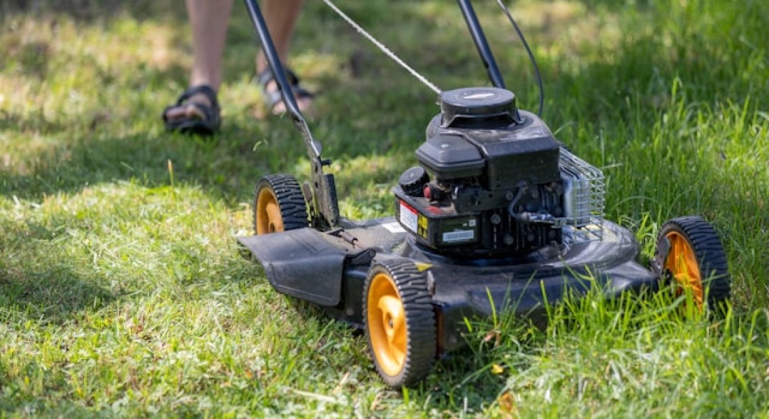 Hoeveel werk heb je aan een gazon in je tuin?
