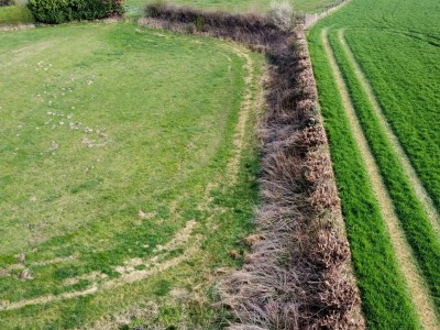 Bouwgrond Rotscherweg 38