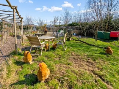 Bouwgrond Hannah Arendtweg 52A