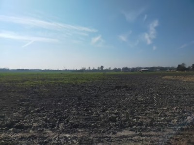 Bouwgrond Sprangweg 52-A