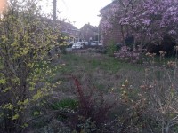 Bouwgrond Elmpterbaan 5