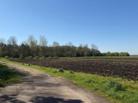 Bouwgrond Boslaan - kavel : 1- 2 -3.