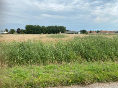 Bouwgrond Berkenborg 10