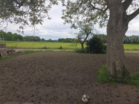 Bouwgrond Nijmansdijk bij nr 18 Bouwgrond Nijmansdijk bij nr 18