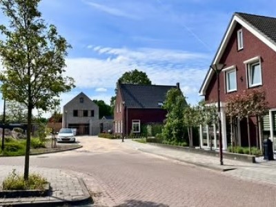 Bouwgrond Wilgenroos