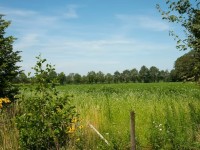 Bouwgrond Kortenroelefsweg 2