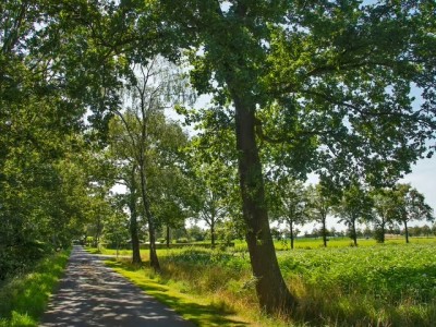 Bouwgrond Kortenroelefsweg 2