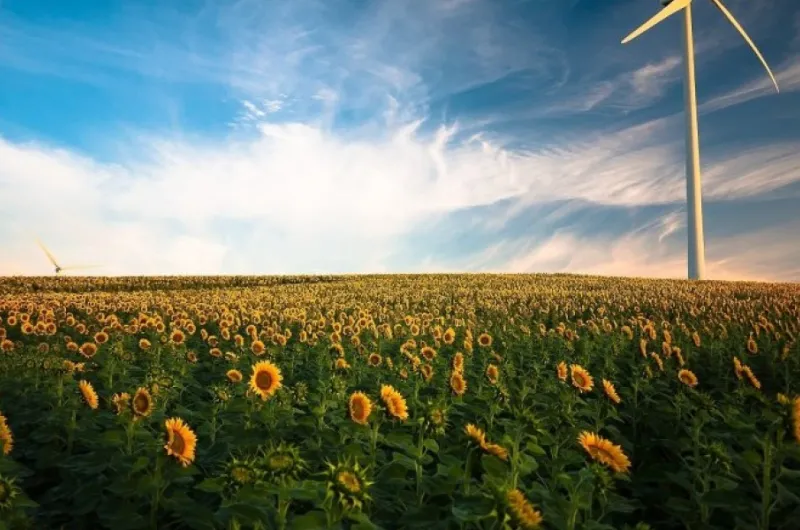 Energieleveranciers: welke zijn er echt groen?