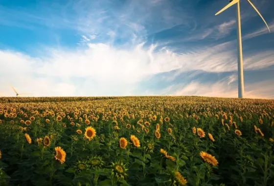 Energieleveranciers: welke zijn er echt groen?