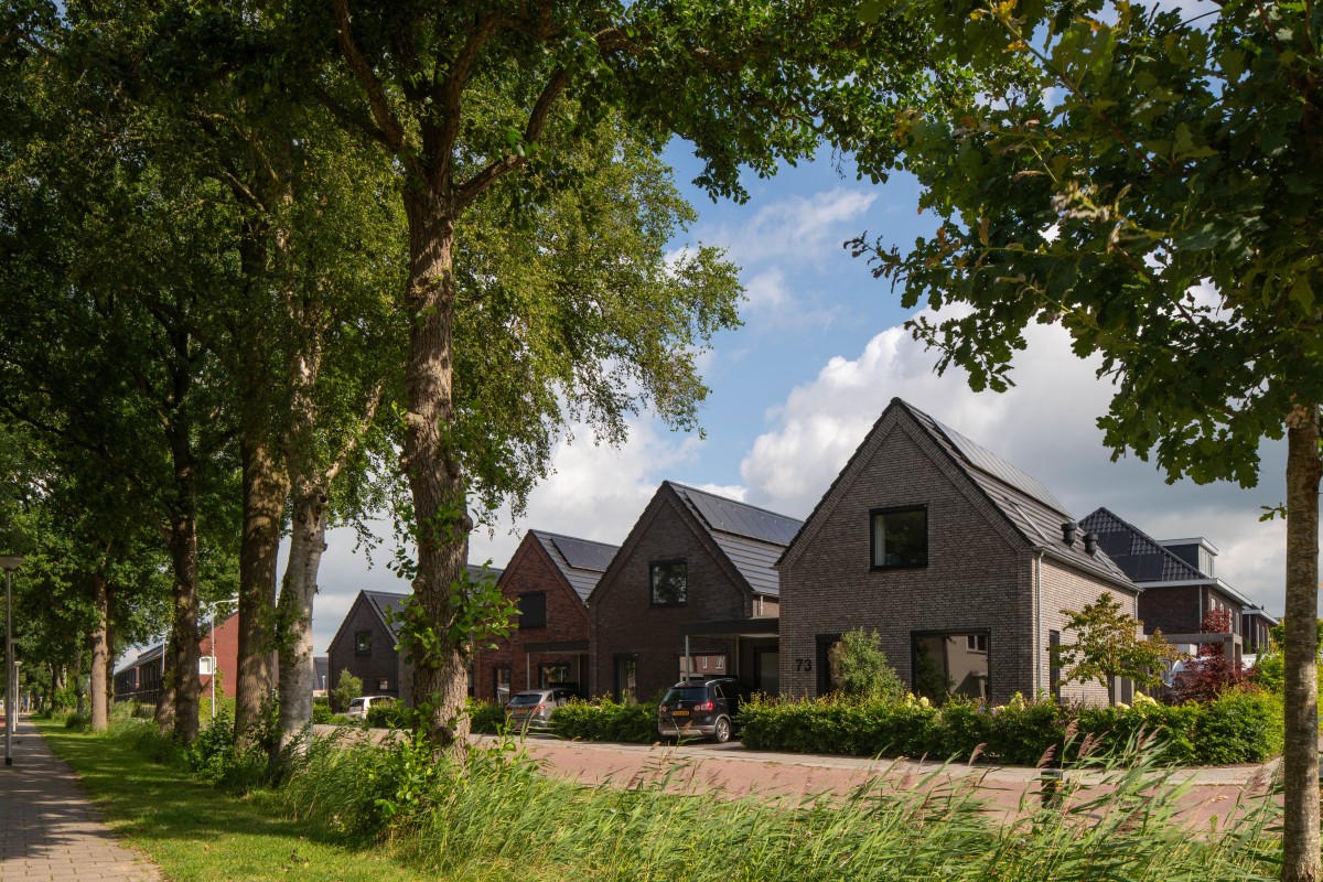 CPO met concept rijtjeswoningen type Rande