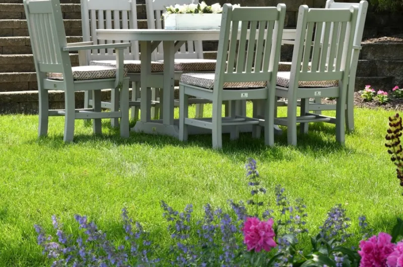 Hoe onderhoud je het beste je tuin?