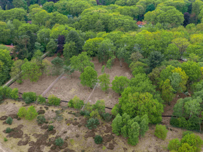 Boskavels De Westflank
