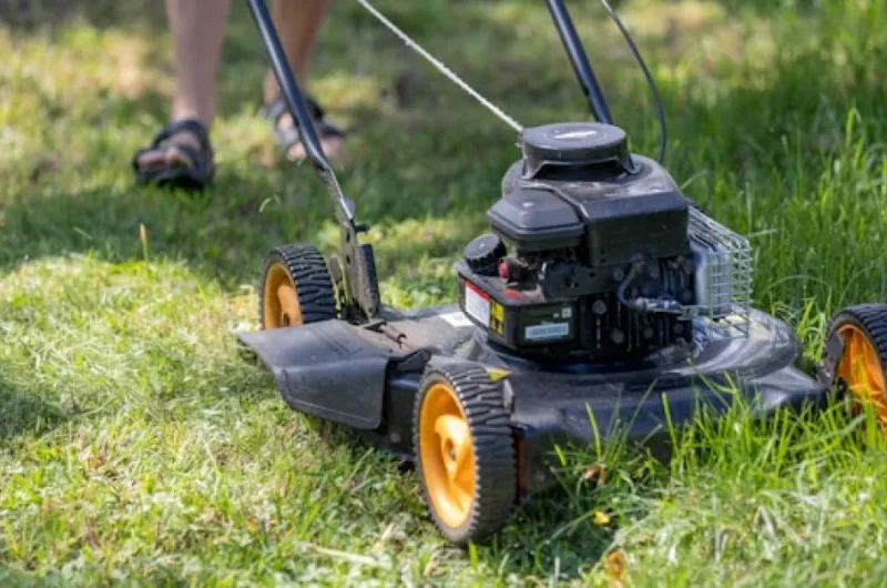 Hoeveel werk heb je aan een gazon in je tuin?