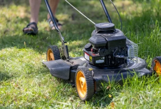 Hoeveel werk heb je aan een gazon in je tuin?