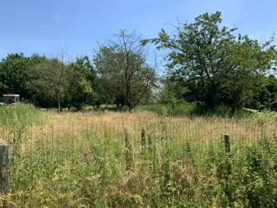 Bouwgrond Bongard 8-A