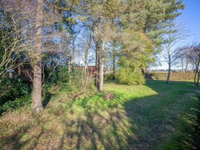 Bouwgrond Schilderend 101 X