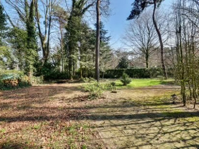 Bouwgrond Spechtbos