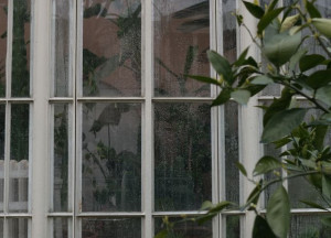 Een serre op maat maakt je nieuwbouwwoning lichter