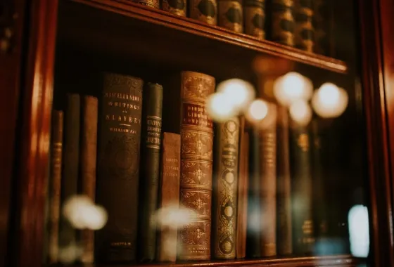 Jouw boekenkast als stijlvol organisatiecentrum
