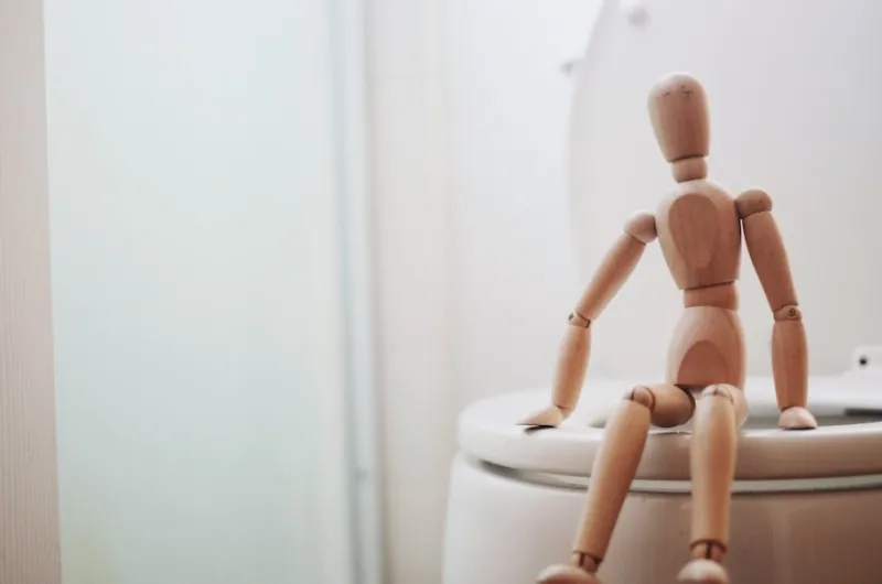 Ontdek de verschillende soorten toiletten