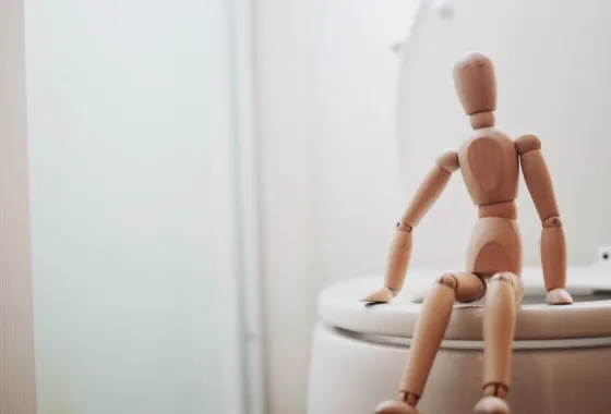 Ontdek de verschillende soorten toiletten
