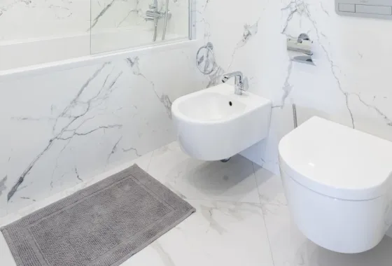Wat is een bidet?