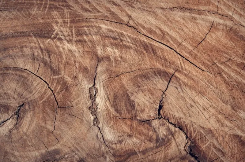 Zo kies je het juiste tuinhout voor jouw tuinproject