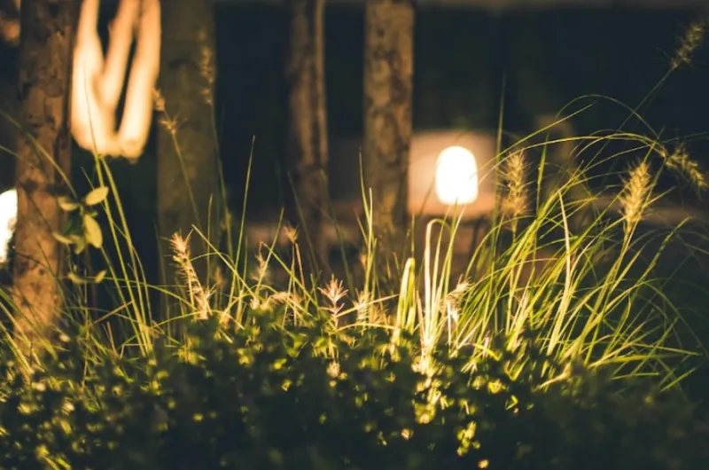 Zo pak je het aanleggen van een tuin op jouw bouwkavel aan