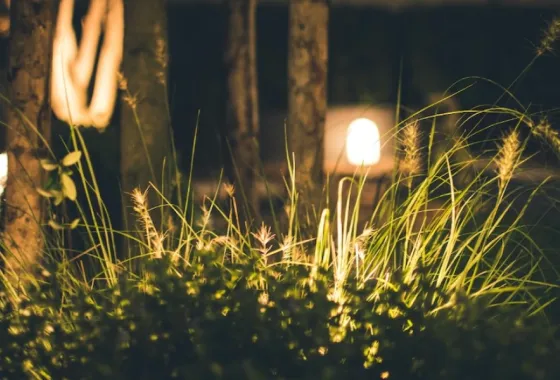 Zo pak je het aanleggen van een tuin op jouw bouwkavel aan