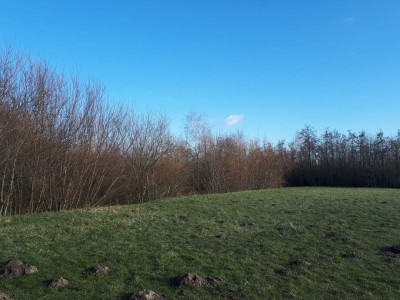 Bouwgrond Laan van Westerhout, Zwaanshoek